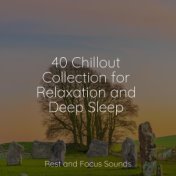40 Chillout Collection for Relaxation and Deep Sleep