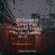 80 Sound of Spring Rain, Peaceful Tracks for the Bedtime