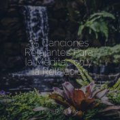 35 Canciones Relajantes Para la Meditación y la Relajación