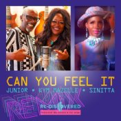 Can You Feel It (Remix)