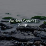Ambient Sounds | Sleep