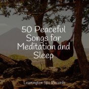 50 Peaceful Songs for Meditation and Sleep