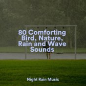 80 Comforting Bird, Nature, Rain and Wave Sounds