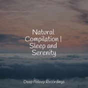 Natural Compilation | Sleep and Serenity