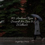 80 Ambient Rain Sounds for Spa & Wellness