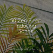 50 Zen Sleep Inducing Songs