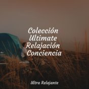 Colección Ultimate Relajación Conciencia