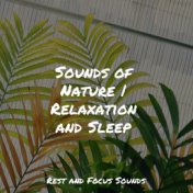 Sounds of Nature | Relaxation and Sleep