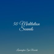 50 Meditation Sounds