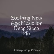 Soothing New Age Music for Deep Sleep Mix