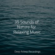 35 Sounds of Nature for Relaxing Music