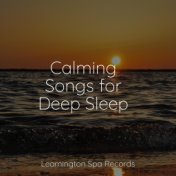 Calming Songs for Deep Sleep