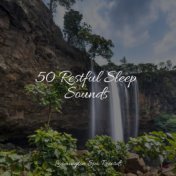 50 Restful Sleep Sounds