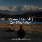 Relaxing Sounds | Zen Meditation