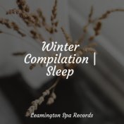 Winter Compilation | Sleep