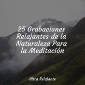 25 Grabaciones Relajantes de la Naturaleza Para la Meditación