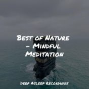 Best of Nature - Mindful Meditation