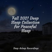 Fall 2021 Deep Sleep Collection for Peaceful Sleep