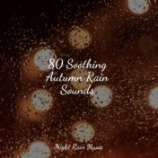 80 Soothing Autumn Rain Sounds