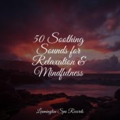 50 Soothing Sounds for Relaxation & Mindfulness