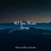 40 Spa Music Songs