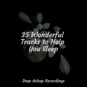35 Wonderful Tracks to Help You Sleep