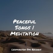 Peaceful Songs | Meditation