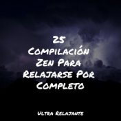 25 Compilación Zen Para Relajarse Por Completo