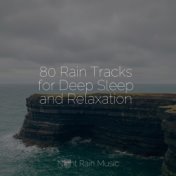 80 Rain Tracks for Deep Sleep and Relaxation