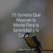 25 Sonidos Que Mejoran la Mente Para la Serenidad y la Curación