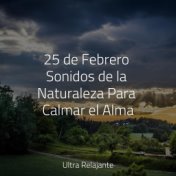 25 de Febrero Sonidos de la Naturaleza Para Calmar el Alma