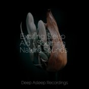 Exciting Sleep Aid - Soothing Nature Sounds