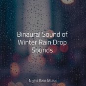 Binaural Sound of Winter Rain Drop Sounds