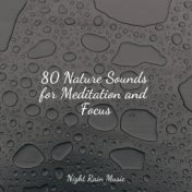 80 Nature Sounds for Meditation and Focus