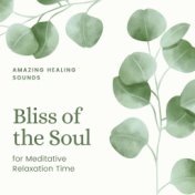 Bliss of the Soul: Amazing Healing Sounds for Meditative Relaxation Time