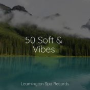 50 Soft & Vibes