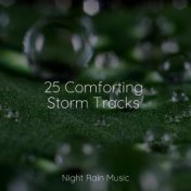 25 Comforting Storm Tracks