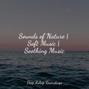 Sounds of Nature | Soft Music | Soothing Music