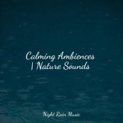 Calming Ambiences | Nature Sounds