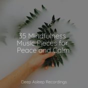 35 Mindfulness Music Pieces for Peace and Calm
