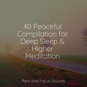 40 Peaceful Compilation for Deep Sleep & Higher Meditation