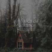 25 Música de Meditación Relajante