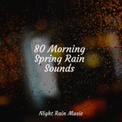 80 Morning Spring Rain Sounds