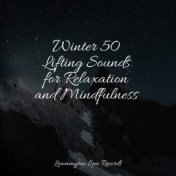 Winter 50 Lifting Sounds for Relaxation and Mindfulness
