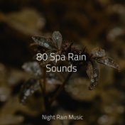80 Spa Rain Sounds