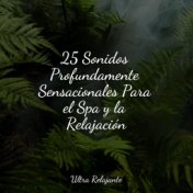 25 Sonidos Profundamente Sensacionales Para el Spa y la Relajación