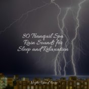 80 Tranquil Spa Rain Sounds for Sleep and Relaxation