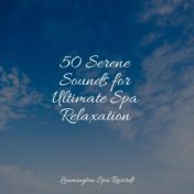 50 Serene Sounds for Ultimate Spa Relaxation
