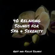 40 Relaxing Sounds for Spa & Serenity