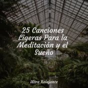 25 Canciones Ligeras Para la Meditación y el Sueño